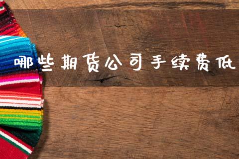 哪些期货公司手续费低_https://www.lansai.wang_恒生指数_第1张