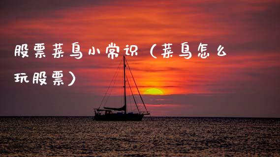股票菜鸟小常识（菜鸟怎么玩股票）_https://www.lansai.wang_股票问答_第1张