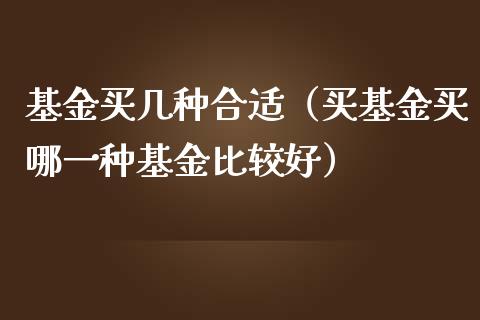 基金买几种合适（买基金买哪一种基金比较好）_https://www.lansai.wang_基金理财_第1张