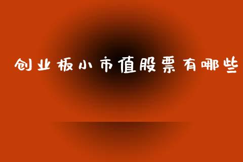 创业板小市值股票有哪些_https://www.lansai.wang_期货资讯_第1张