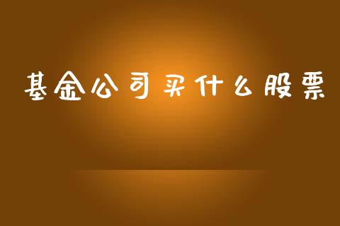 基金公司买什么股票_https://www.lansai.wang_基金理财_第1张