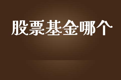 股票基金哪个_https://www.lansai.wang_理财百科_第1张