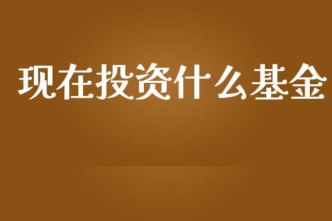 现在投资什么基金_https://www.lansai.wang_基金理财_第1张