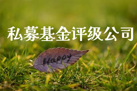 私募基金评级公司_https://www.lansai.wang_基金理财_第1张