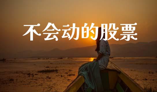 不会动的股票_https://www.lansai.wang_期货行情_第1张