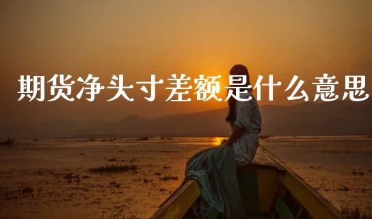 期货净头寸差额是什么意思_https://www.lansai.wang_股指期货_第1张