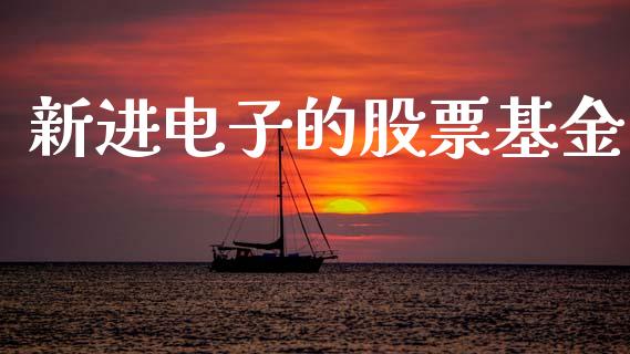 新进电子的股票基金_https://www.lansai.wang_期货行情_第1张
