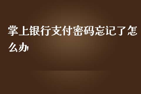 掌上银行支付密码忘记了怎么办_https://www.lansai.wang_期货行情_第1张