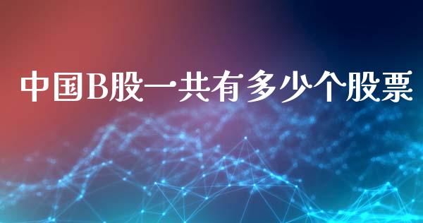 中国B股一共有多少个股票_https://www.lansai.wang_期货行情_第1张
