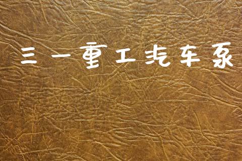 三一重工汽车泵_https://www.lansai.wang_股票知识_第1张