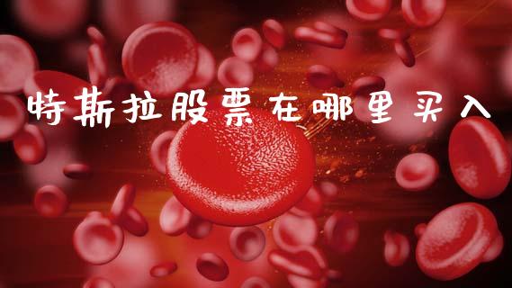 特斯拉股票在哪里买入_https://www.lansai.wang_股票知识_第1张