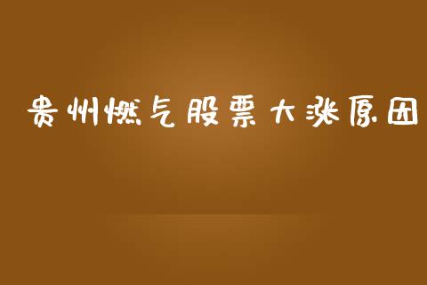 贵州燃气股票大涨原因_https://www.lansai.wang_期货行情_第1张