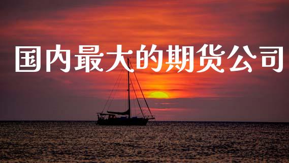 国内最大的期货公司_https://www.lansai.wang_恒生指数_第1张
