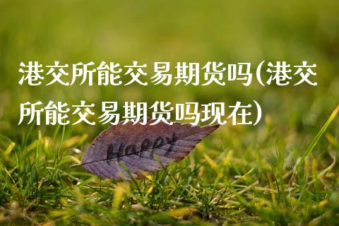 港交所能交易期货吗(港交所能交易期货吗现在)_https://www.lansai.wang_期货资讯_第1张
