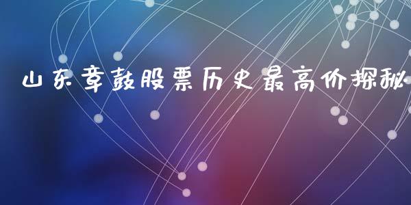 山东章鼓股票历史最高价探秘_https://www.lansai.wang_期货行情_第1张