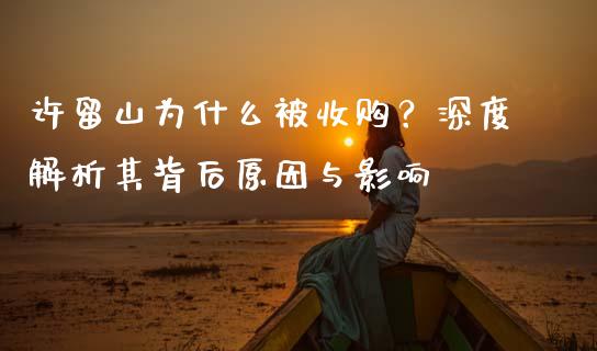 许留山为什么被收购？深度解析其背后原因与影响_https://www.lansai.wang_基金理财_第1张