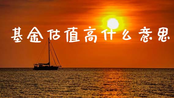 基金估值高什么意思_https://www.lansai.wang_基金理财_第1张