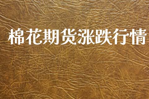 棉花期货涨跌行情_https://www.lansai.wang_期货资讯_第1张
