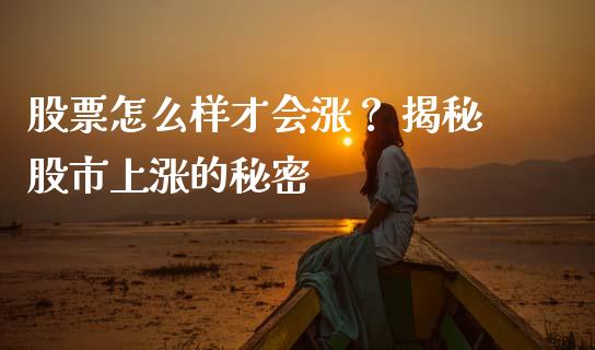 股票怎么样才会涨？ 揭秘股市上涨的秘密_https://www.lansai.wang_理财百科_第1张