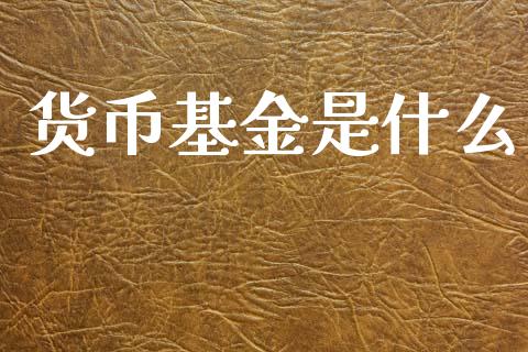 货币基金是什么_https://www.lansai.wang_基金理财_第1张