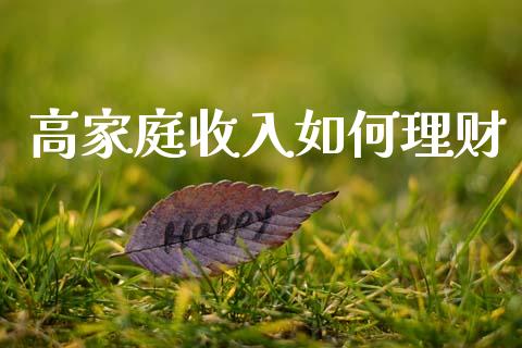 高家庭收入如何理财_https://www.lansai.wang_期货资讯_第1张