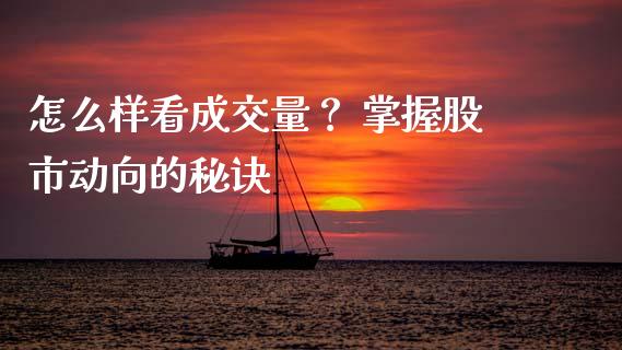 怎么样看成交量？ 掌握股市动向的秘诀_https://www.lansai.wang_股票知识_第1张