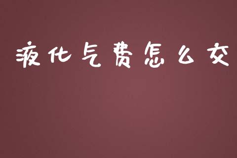 液化气费怎么交_基金理财_第1张_起点财经 液化气费怎么交_https://www.lansai.wang_基金理财_第1张
