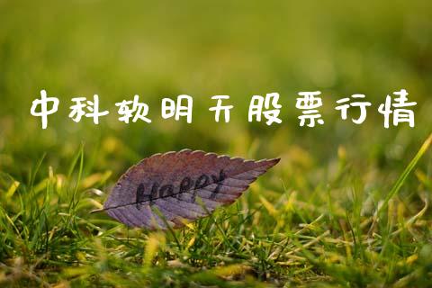中科软明天股票行情_https://www.lansai.wang_股票知识_第1张