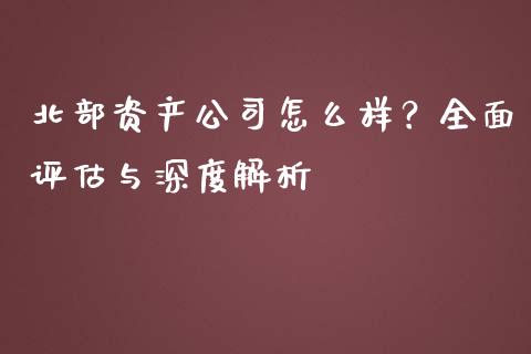 北部资产公司怎么样？全面评估与深度解析_https://www.lansai.wang_理财百科_第1张