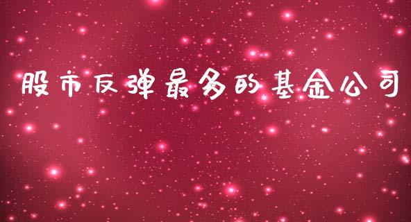 股市反弹最多的基金公司_https://www.lansai.wang_基金理财_第1张