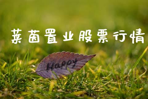 莱茵置业股票行情_https://www.lansai.wang_股票知识_第1张