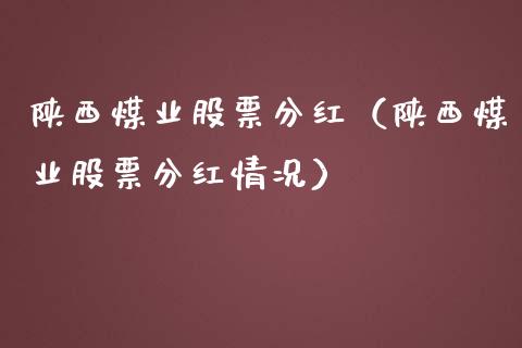 陕西煤业股票分红（陕西煤业股票分红情况）_https://www.lansai.wang_股票问答_第1张