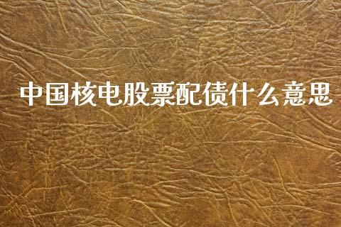 中国核电股票配债什么意思_https://www.lansai.wang_期货资讯_第1张