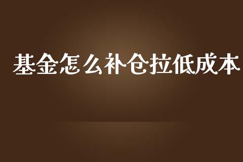 基金怎么补仓拉低成本_https://www.lansai.wang_基金理财_第1张