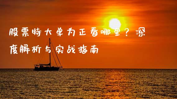 股票特大单为正看哪里？深度解析与实战指南_https://www.lansai.wang_期货学院_第1张