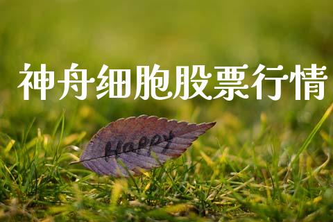 神舟细胞股票行情_https://www.lansai.wang_股票知识_第1张