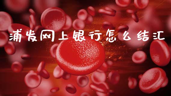 浦发网上银行怎么结汇_https://www.lansai.wang_股票问答_第1张