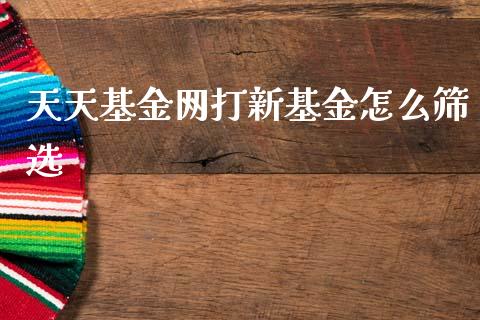 天天基金网打新基金怎么筛选_https://www.lansai.wang_基金理财_第1张