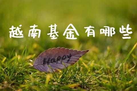 越南基金有哪些_https://www.lansai.wang_基金理财_第1张
