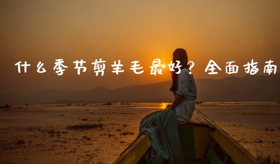 什么季节剪羊毛最好？全面指南_https://www.lansai.wang_期货行情_第1张