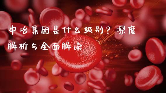 中冶集团是什么级别？深度解析与全面解读_https://www.lansai.wang_期货资讯_第1张
