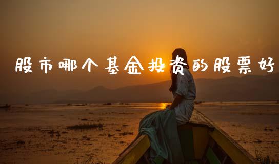 股市哪个基金投资的股票好_https://www.lansai.wang_基金理财_第1张