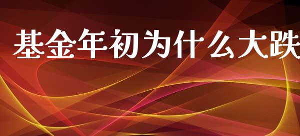 基金年初为什么大跌_https://www.lansai.wang_基金理财_第1张