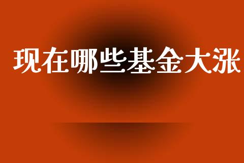 现在哪些基金大涨_https://www.lansai.wang_基金理财_第1张