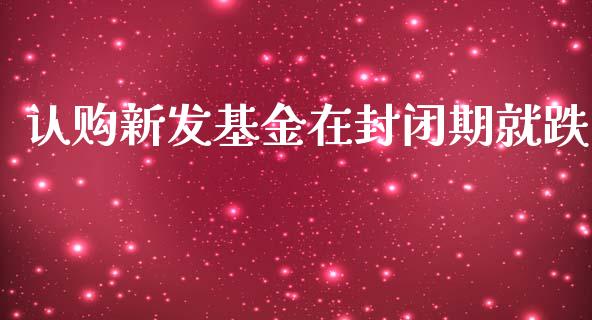 认购新发基金在封闭期就跌_https://www.lansai.wang_未分类_第1张