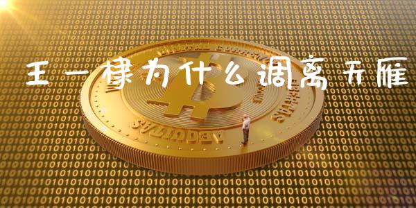 王一棣为什么调离天雁_https://www.lansai.wang_股票问答_第1张