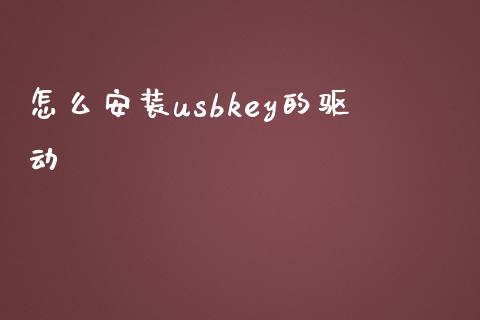 怎么安装usbkey的驱动_https://www.lansai.wang_基金理财_第1张