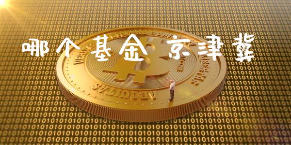 哪个基金 京津冀_https://www.lansai.wang_期货直播_第1张