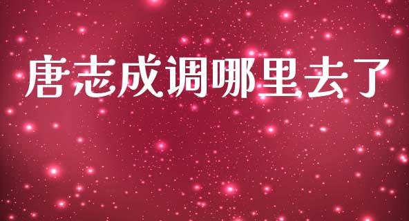 唐志成调哪里去了_https://www.lansai.wang_期货行情_第1张