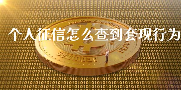 个人征信怎么查到套现行为_https://www.lansai.wang_期货行情_第1张